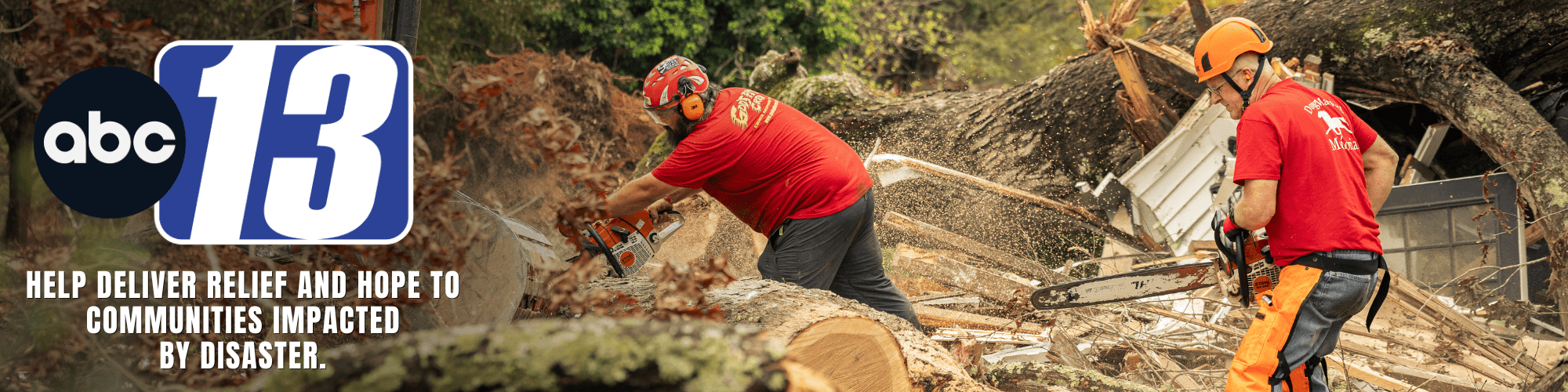 Man cutting a large log with a chainsaw in a forest.