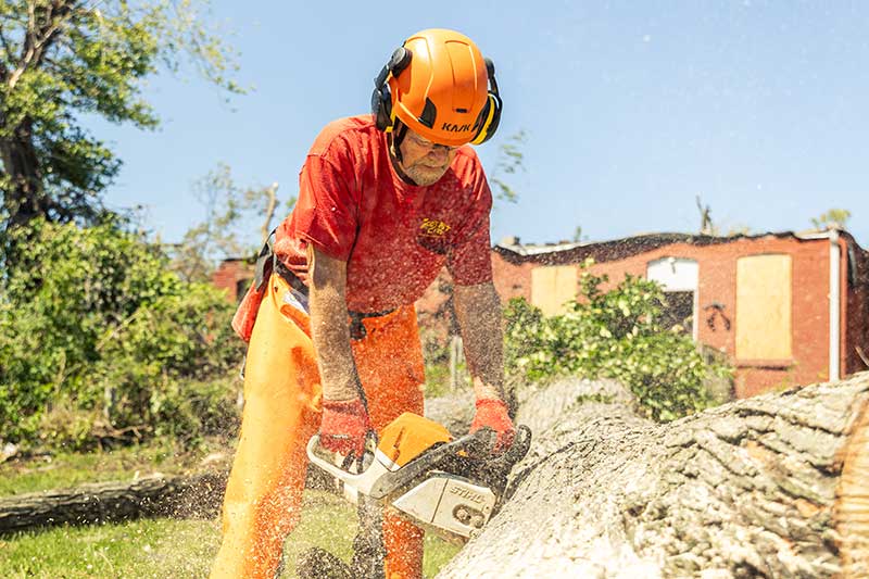 Chainsaw Training Chainsaw Training
