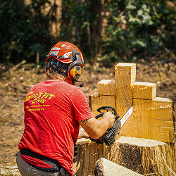 Rebuilding chris cross rebuilding